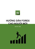 Hướng dẫn Forex cho người mới bắt đầu