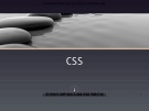 Bài giảng Lập trình web toàn tập với HTML, CSS, Jquery, Responsive, Bootstrap - Chương 5.1: CSS