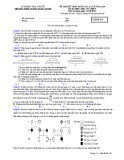 Đề thi thử THPT QG môn Sinh năm 2019 lần 2 - THPT Lương Ngọc Quyến - Mã đề 024