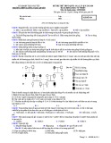 Đề thi thử THPT QG môn Sinh năm 2019 lần 2 - THPT Lương Ngọc Quyến - Mã đề 014