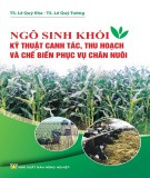 Kỹ thuật canh tác, thu hoạch ngô sinh khối và chế biến phục vụ chăn nuôi: Phần 1