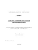 Master Thesis in Economics: Adoption of cloud computing by SME's in emerging markets (Brazil)