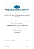 Master Thesis in Economics: A research into the motivating factors of Irish entrepreneurs to start-up