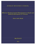 Master Thesis in Economics: Effective working capital management in small and medium enterprises in Vietnam