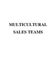 Master Thesis in Economics: How to manage the multicultural sales teams