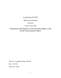 Master Thesis in Economics: Incorporation of risk management as a framework for delay mitigation: A study from the Construction project in Nigeria