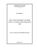 Luận văn thạc sĩ Tài chính Ngân hàng: Phân tích tình hình tài chính công ty cổ phần thực phẩm Đức Việt