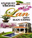 Hoa lan - Kỹ thuật trồng trên ban công: Phần 2