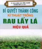 Kĩ thuật trồng rau lấy lá - Bí quyết thành công cho hiệu quả cao: Phần 1