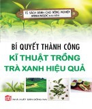 Kĩ thuật trồng trà xanh - Bí quyết thành công với hiệu quả cao: Phần 2