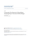Accounting undergraduate Honors theses: Community development in mozambique -  Evaluating impact assessment methodologies