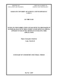 Summary of chemistry doctoral thesis: Study on the fabrication of magnetic fluids based on superparamagnetic iron oxide nanoparticles (SPIONs) applied to magentic resonance imaging (MRI) application