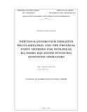 Summary of mathematics doctoral thesis: Newton kantorovich iterative regularization and the proximal point methods for nonlinear ill posed equations involving monotone operators