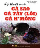 Gà sao, gà tây (Lôi), gà H'Mông - Kỹ thuật chăn nuôi