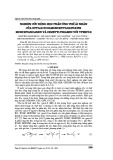 Nghiên cứu động học phản ứng thế ái nhân của Etylglycolmonoetylnatnatri monoetanoamin và Dimetyltriamin với YPERIT-S