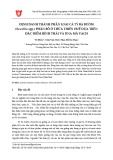 Định danh thành phần loài cá Tỳ bà bướm (Sewellia spp.) phân bố ở Thừa Thiên Huế dựa trên đặc điểm hình thái và DNA mã vạch