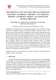 Sinh trưởng và sức sản xuất thịt của tổ hợp lợn lai Duroc × [Landrace × (Pietrain × VCN–MS15)] v Pietrain × [Landrace × (Duroc × VCN–MS15)] nuôi tại tỉnh Thừa Thiên Huế