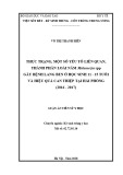 Luận án tiến sĩ Y học: Thực trạng, một số yếu tố liên quan, thành phần loài nấm Malassezia spp gây bệnh lang ben ở học sinh 11 - 15 tuổi và hiệu quả can thiệp tại Hải Phòng (2016 - 2017)