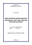 Tóm tắt Luận án tiến sĩ Y học: Nghiên cứu nồng độ Lp-PLA2 huyết thanh ở bệnh nhân nhồi máu não giai đoạn cấp