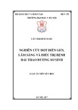 Luận án tiến sĩ Y học: Nghiên cứu đột biến gen, lâm sàng và điều trị bệnh đái tháo đường sơ sinh