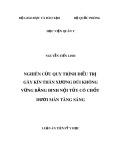 Luận án tiến sĩ Y học: Nghiên cứu quy trình điều trị gãy kín thân xương đùi không vững bằng đinh nội tủy có chốt dưới màn tăng sáng