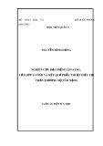 Luận án tiến sĩ Y học: Nghiên cứu đặc điểm lâm sàng, cắt lớp vi tính và kết quả phẫu thuật điều trị chấn thương sọ não nặng