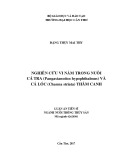 Luận án tiến sĩ Thủy sản: Nghiên cứu vi nấm trong nuôi cá tra (pangasianodon hypophthalmus) và cá lóc (channa striata) thâm canh