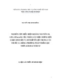 Luận án tiến sĩ Sinh học: Nghiên cứu biểu hiện kháng nguyên (M, GP5, GP5ectoM) của virus gây Hội chứng rối loạn sinh sản và hô hấp ở lợn trong cây thuốc lá bằng phương pháp thẩm lọc nhờ Agrobacterium