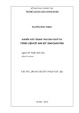 Tóm tắt Luận án tiến sĩ Kỹ thuật vật liệu: Nghiên cứu trạng thái ứng suất dư trong liên kết hàn nút giàn dạng ống