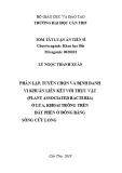 Tóm tắt Luận án tiến sĩ Nông nghiệp: Phân lập, tuyển chọn và định danh vi khuẩn liên kết với thực vật (Plant associated bacteria) ở lúa, khoai trồng trên đất phèn ở đồng bằng sông Cửu Long