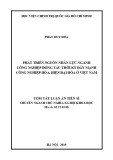 Tóm tắt Luận án tiến sĩ Triết học: Phát triển nguồn nhân lực ngành công nghiệp đóng tàu thời kỳ đẩy mạnh công nghiệp hoá, hiện đại hoá ở Việt Nam