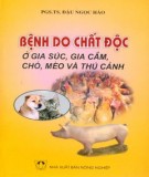 Chất độc từ gia súc, gia cầm, chó, mèo và thú cảnh là nguyên nhân gây bệnh: Phần 2