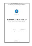 Khóa luận tốt nghiệp ngành Văn hóa du lịch: Một số giải pháp nâng cao hiệu quả kinh doanh tại công ty du lịch Vietravel chi nhánh Hải Phòng