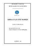 Khóa luận tốt nghiệp ngành Văn hóa du lịch: Tìm hiểu thực trạng và đề xuất giải pháp khai thác phát triển du lịch đối với Tháp Bà- Lễ hội Tháp Bà ở Nha Trang