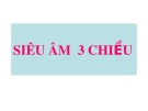 Bài giảng Siêu âm 3 chiều