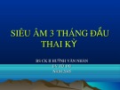 Bài giảng Siêu âm 3 tháng đầu thai kỳ - CKII.BS. Huỳnh Văn Nhàn