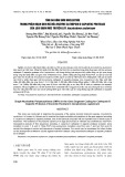 Tính đa hình đơn nucleotide trong phân đoạn gen mã hóa enzyme cathepsin D aspartic protease của loài giun móc truyền lây Ancylostoma ceylanicum