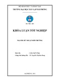 Đồ án tốt nghiệp ngành Kỹ thuật môi trường: Bước đầu khảo sát khả năng tích lũy Mn, Cu của rau cải