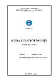 Đồ án tốt nghiệp ngành Kỹ thuật môi trường: Nghiên cứu, đánh giá hiện trạng môi trường nước mặt kênh thoát nước Tây Nam thành phố Hải Phòng