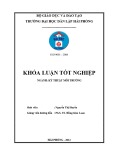 Đồ án tốt nghiệp ngành Kỹ thuật môi trường: Khảo sát khả năng thu phân bón chậm (MAP-Struvite) từ nước thải chăn nuôi và nước ót