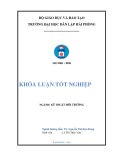 Đồ án tốt nghiệp ngành Kỹ thuật môi trường: Nghiên cứu một số yếu tố ảnh hưởng đến hiệu suất xử lý nước thải sản xuất nước mắm và đề xuất quy trình công nghệ xử lý nước thải của công ty cổ phần dịch vụ thủy sản Cát Hải