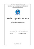 Đồ án tốt nghiệp ngành Kỹ thuật môi trường: Tìm hiểu khả năng hấp phụ sắt của vật liệu hấp phụ chế tạo từ rơm