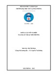 Đồ án tốt nghiệp ngành Kỹ thuật môi trường: Nghiên cứu chế tạo nhựa dễ phân hủy sinh học đi từ tinh bột sắn dựa trên nền nhựa PVA