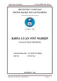 Đồ án tốt nghiệp ngành Kỹ thuật môi trường: Nghiên cứu chế tạo nhựa dễ phân hủy sinh học đi từ tinh bột cây giong riềng dựa trên nền nhựa PVA