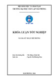 Đồ án tốt nghiệp ngành Kỹ thuật môi trường: Nghiên cứu tổng hợp chất hoạt động bề mặt bằng phương pháp hydrat hóa dầu thông để xử lý dầu mỡ trên vải sợ