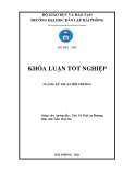 Đồ án tốt nghiệp ngành Kỹ thuật môi trường: Nghiên cứu khả năng xử lý Fe3+ trong nước bằng vật liệu hấp phụ chế tạo từ vỏ quả sầu riêng