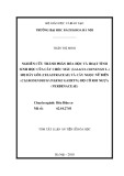 Tóm tắt luận án Tiến sĩ Hóa học: Nghiên cứu thành phần hoá học và hoạt tính sinh học của cây Chóc máu (Salacia Chinensis L.) họ dây gối (Celastraceae) và cây ngọc nữ biển (Clerodendrum Inerme Gaertn.) họ cỏ roi ngựa (Verbenaceae)