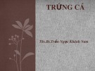 Bài giảng Trứng cá - Ths.Bs. Trần Ngọc Khánh Nam