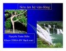 Bài giảng Siêu âm hệ vận động -  Nguyễn Xuân Hiền