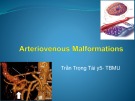 Bài giảng Arteriovenous Malformations - Trần Trọng Tài